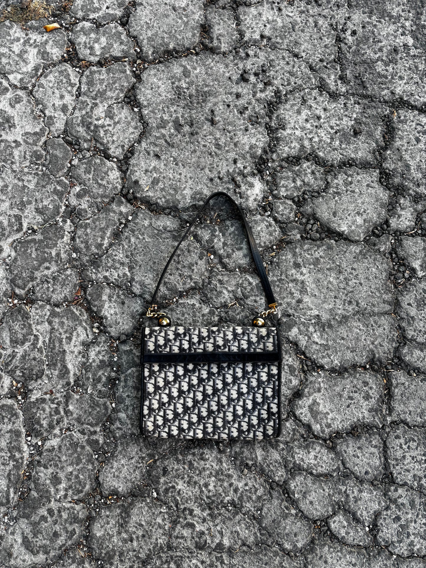 Christian Dior Oblique Monogram Vintage Bag